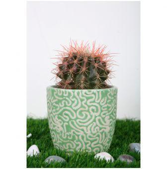 Medium tumbler shape ceramic flower pot with rd