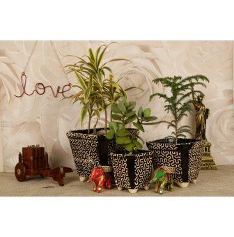 Set Of 3 Black Bonsai Ceramic Flower Pots With Texture Print