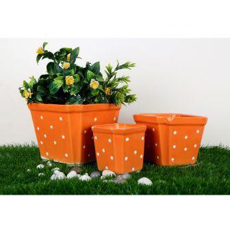 Set of 3 orange bonsai ceramic flower pots with white dots