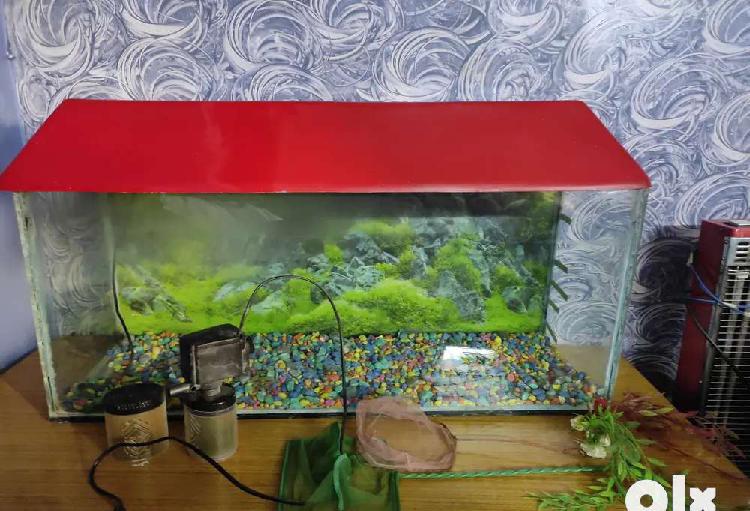 Fish aquarium in excellent condition with dual air filter